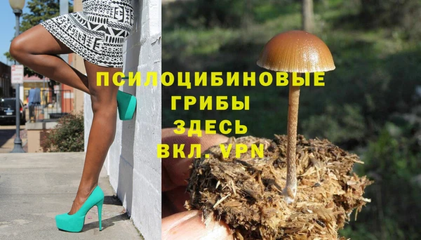 ALPHA PVP Белокуриха