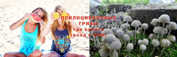 ALPHA PVP Белокуриха